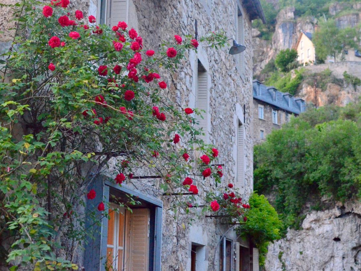 Chambres D'Hotes La Source Du Vallon Salles-la-Source Exterior foto